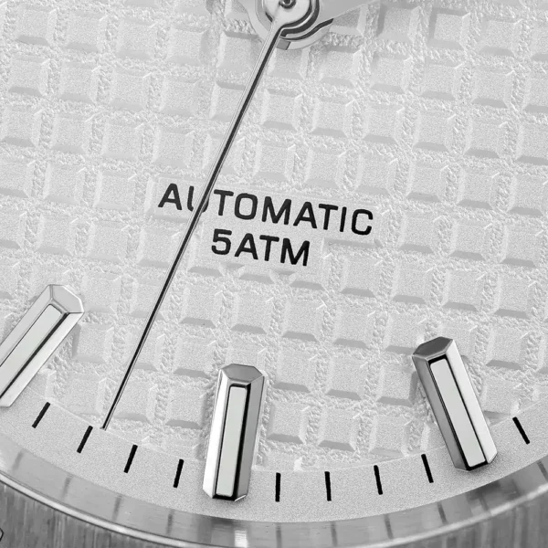 Automatic Mechanical Men's Watch Business Style Luxury Watch